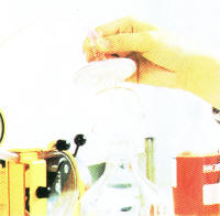 ������˹��ѹ������